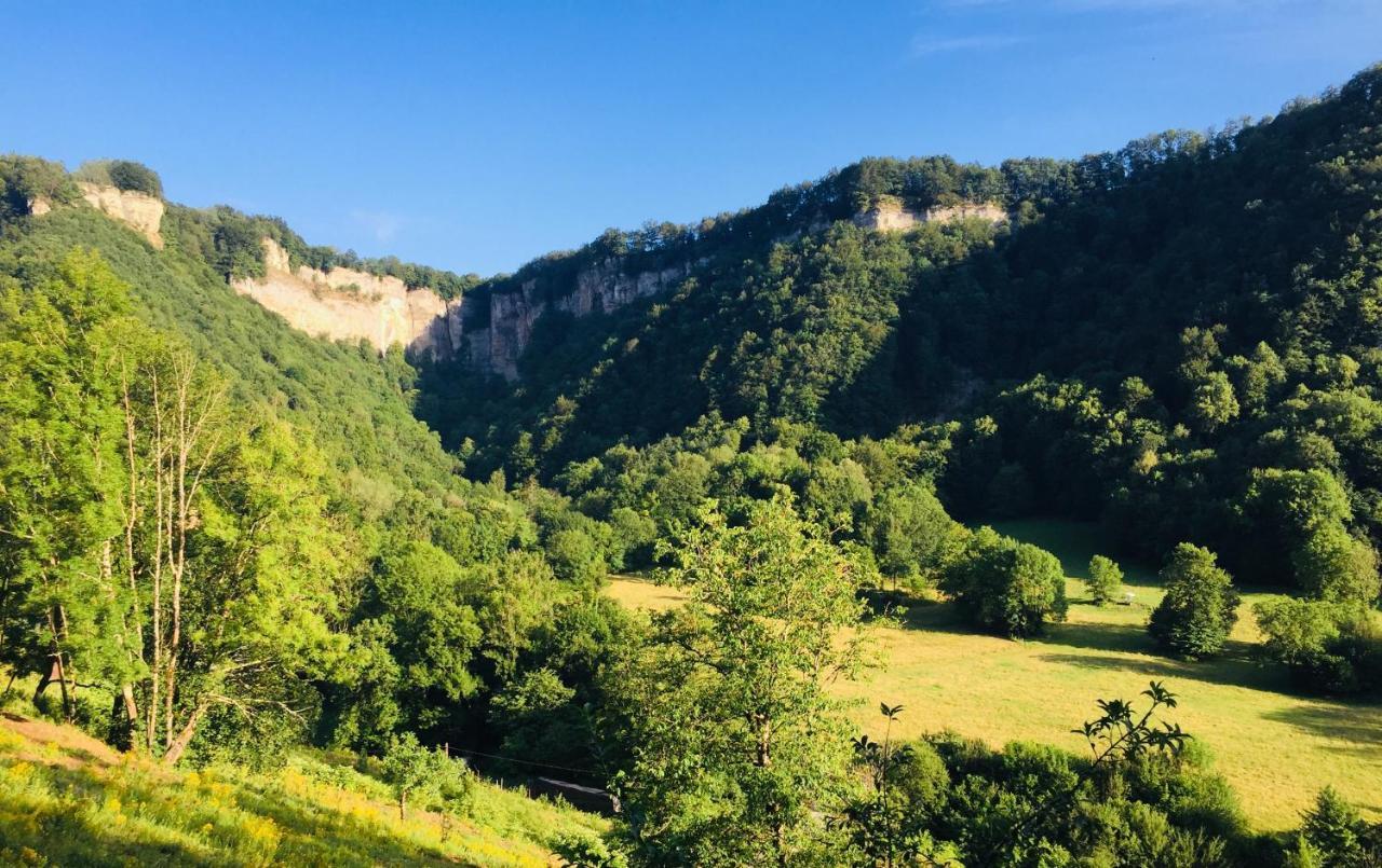 Gite Des Reculees Ladoye-sur-Seille Dış mekan fotoğraf