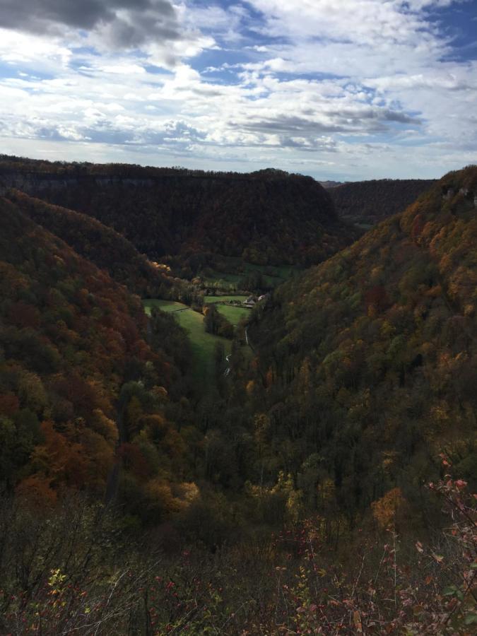 Gite Des Reculees Ladoye-sur-Seille Dış mekan fotoğraf