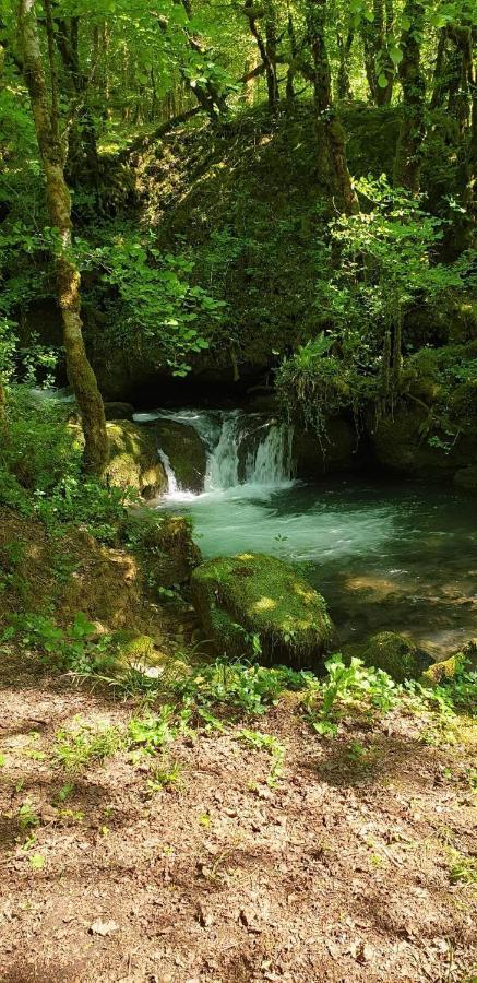 Gite Des Reculees Ladoye-sur-Seille Dış mekan fotoğraf