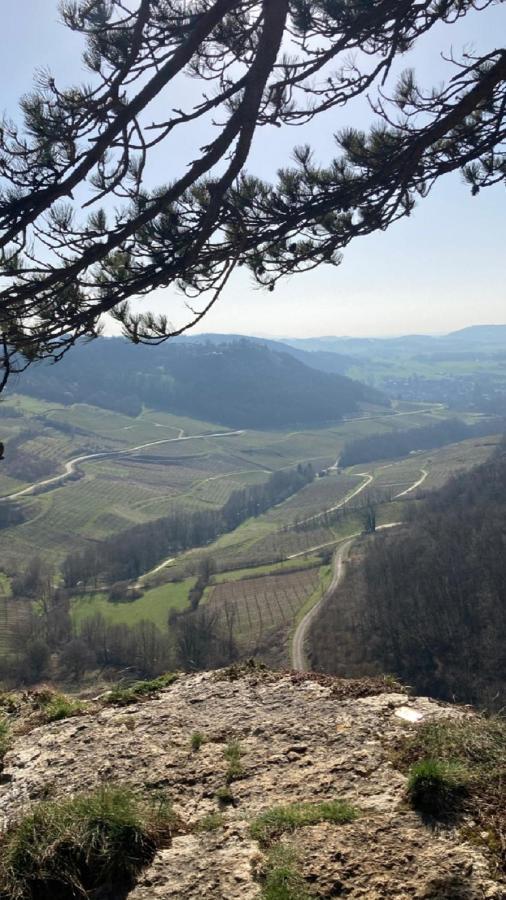 Gite Des Reculees Ladoye-sur-Seille Dış mekan fotoğraf